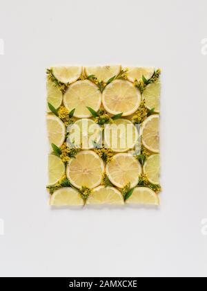 Lemon slices and yellow flowers flat lay style with a copy space. Lemon pattern. Fruit pattern, citrus background. Yellow lemon wallpaper Stock Photo