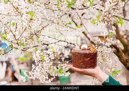 Festive Easter cake on the background of blooming cherries in the garden. Cherry blossom on a clear sunny day. Stock Photo
