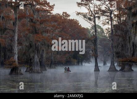 This is a picture of a couple canoing at Caddo Lake, Texas, Louisiana, USA Stock Photo