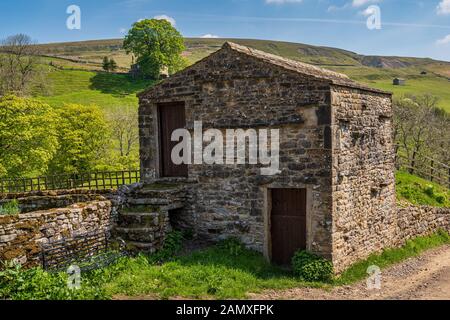 A field barn in the Swaledale near Keld, North Yorkshire, England, UK Stock Photo