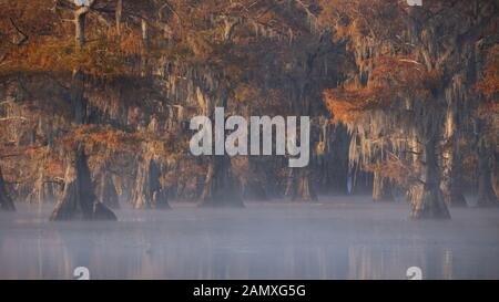 This is the picture of sunrise at Caddo Lake Texas, Louisiana, USA Stock Photo