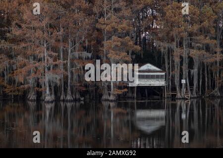 This is the picture of sunrise at Caddo Lake Texas, Louisiana, USA Stock Photo