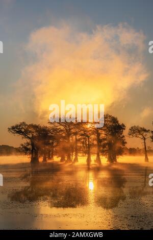 This is the picture of sunrise at Caddo Lake Texas, Louisiana, USA Stock Photo