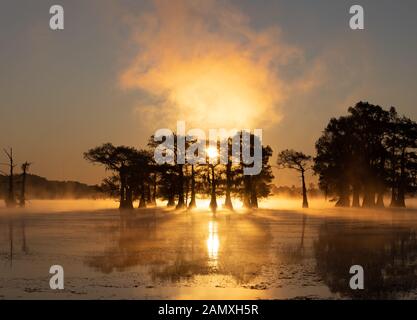 This is the picture of sunrise at Caddo Lake Texas, Louisiana, USA Stock Photo