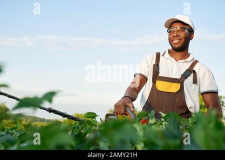 Smiling african male gardener in protective glasses cutting green bushes with shears with background of blue sky. Handsome man in overall working in garden with plants Stock Photo