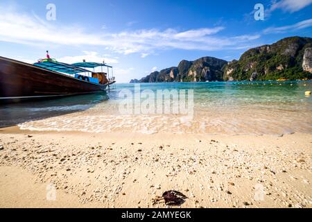 A dry leaf washed ashore a beach in Phi Phi islands. Stock Photo