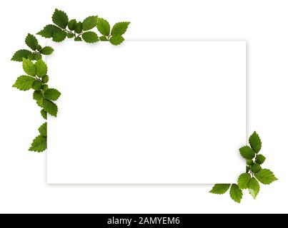 Green twigs with small textured leaves in a beautiful autumn corner ...