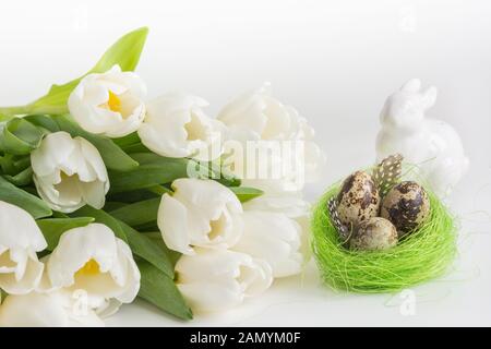 Easter composition. White tulips, quail eggs in nest on white. Space for text. Stock Photo
