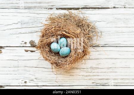 Real birds nest over a rustic wooden white table with small speckled Robin blue eggs. Selective focus on eggs with slight blurred background.