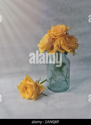 Yellow Roses In Glass Vase Stock Photo