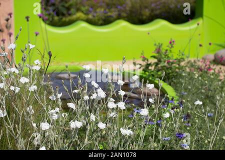 THE ECOVER GARDEN BY MATTHEW CHILDS  RHS HAMPTON COURT FLOWER SHOW  BEST IN SHOW AND GOLD MEDAL WINNER Stock Photo