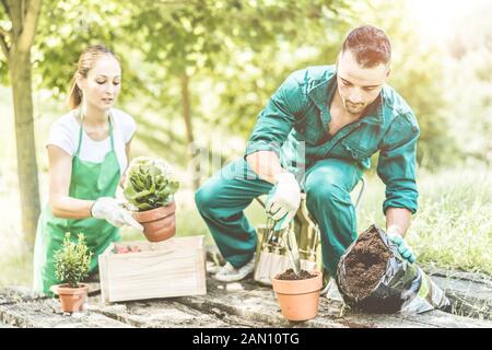 People harvesting fresh vegetables in community greenhouse garden - Happy young people at work with green plants - Focus on man face - Healthy lifesty Stock Photo