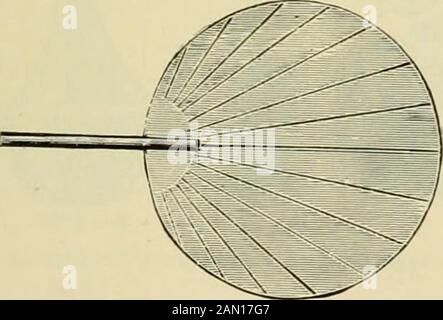 How to paint : an instruction book with full description of all the materials necessary. . No. 33.5S. Very artistic and beautiful when decorated. Each. Per doz. 3253 Diameter of bowl, 4 inches frO 35 P 60 Diameter 5 45 4 80 Diameter G 50 5 75 Diameter 7 I 00 ALUMINUM FANS. With French Gilt Handles. A Beautiful. Stock Photo