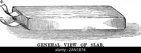 Scientific American Volume 47 Number 18 (October 1882) . TRANSVERSE SECTION.. GENERAL VIEW SLAB. at present confined to the laboratory, we may observe thatthese researches are very interesting, and that to M. Brardmust be ascribed the honor of having been the first to con-struct a veritable electro-generative combustible. Decline In the Salmon Oatcb. The salmon catch this year on the Pacific coast has beenthe smallest for many years. The canners blame theChinese, but say nothing of the frightfully wasteful fishingwheels which they themselves have been using of late, de-structive devices which Stock Photo