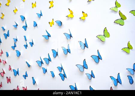 green blue yellow Butterfly graphic art pop up 3d on the white clean wall Stock Photo