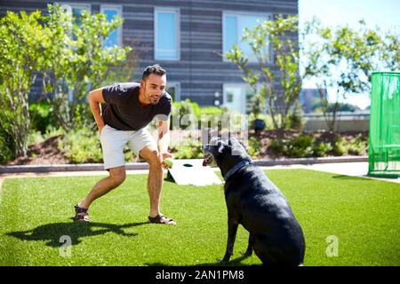 A man playing with his dog. Stock Photo