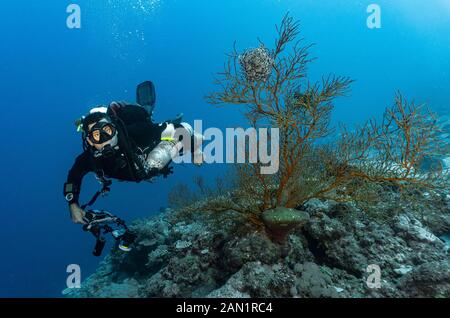 scuba diver exploring the great barrier reef in Australia Stock Photo