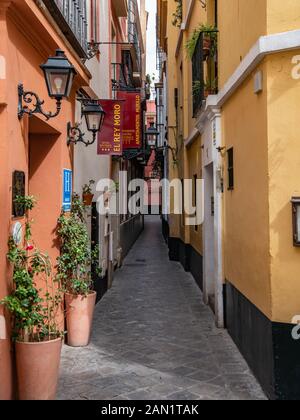 The narrow Calle Reinoso in Seville's old Jewish Quarter, a maze of narrow, streets, lanes and alleyways in the Barrio de Santa Cruz. Stock Photo