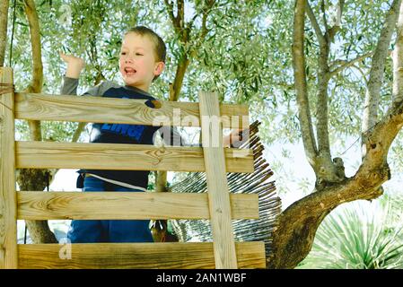 Child entertaining waving on top of his house on the wooden tree on an olive tree, enjoying his childhood. Stock Photo