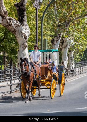 Tourists enjoy a leisurely ride in a horse drawn carriage along a tree lined Calle Palos de la Frontera in Seville Stock Photo