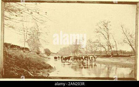 Pictures from nature and life, poems . 19 -^y.- Se littered lor^j,. ^y TVJrV)rin^cj j^or^bl. 21 Jo a CGiQlle, ocl ar.ci cir^