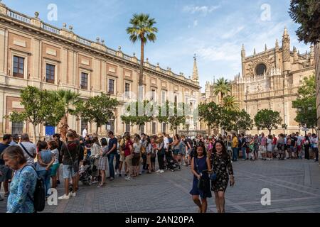 Crowds queue patiently in the shade to enter the Real Alcázar Palace, below the backdrop of Seville's Gothic Cathedral. Stock Photo