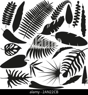 Set of leaves of different shapes in flat style. Stock Vector