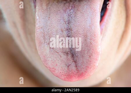 Woman sticks out her covered tongue, tongue and mouth, Germany Stock Photo