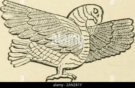 The seven great monarchies of the ancient eastern world: or, The history, geography and antiquities of Chaldæa, Assyria, Babylon, Media, Persia, Parthia, and Sassanian or New Persian empire . Vulture, irom Nimrud. Stock Photo
