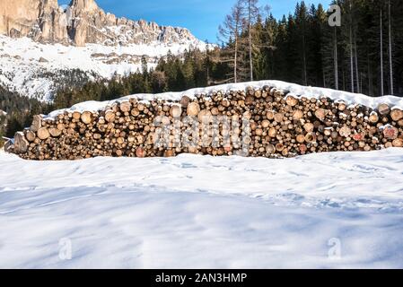 Pile of logs for timber industry with a pine forest in foreground in a snowy mountain scenery on a clea rwinter day Stock Photo