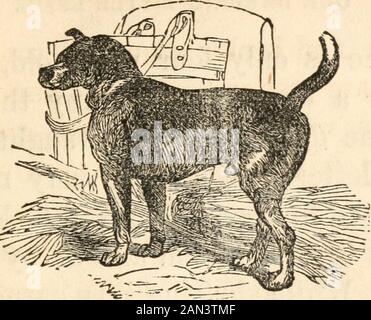 Archy Somerville And Other Stories Our Dakling Little Effie I Wish All My Little Friends Knewour Archy Somerville And Other Stories Our Dakling Little Effie I Wish All My Little Friends Knewour