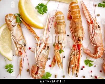 Fresh langoustines white green coriander, ice, pepper and lemon. Close up top view. Stock Photo