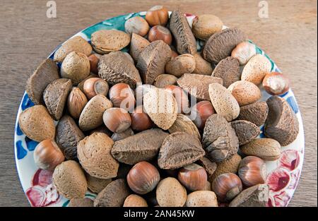 Mixed nuts in shells, Brazil, Hazel and Almond displayed on plate.  December.  Christmas Stock Photo