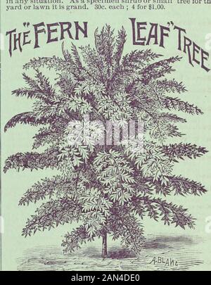 Childs' rare flowers, vegetables & fruits for 1895 . 28 Childs' rare flowers, vegetables & fruits for 1895 . 28