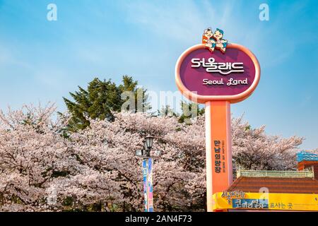 Gwacheon, Korea - April 9, 2018 : Seoul Land amusement park with spring cherry blossoms Stock Photo