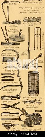 Seeds for summer sowing . Reversible Steel Lawn Rake For full line of Garden Tools see our catalogueEverything for the Garden.7.. BEST QUALITY HAND TOOLS. (See illustrations in adjoining column.)BRUSH AXE. This is an excellent tool for trimming out under-brush, cutting down hedges, etc. Price, handled, $2.75.DANDELION AND PLANTAIN SPUD. A handy tool forcutting dandelions, plantain and other weeds out of the lawn.Also useful when out botanizing. Price, 45c. (Add extra]or Parcel Post; weight, 1 lb. GARDENERS GLOVES. For protecting the hands, handling thorny plants, etc. Cordovan Horse Hide, per Stock Photo