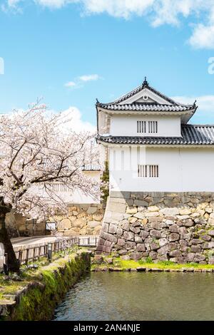 Hikone castle with spring cherry blossoms in Shiga, Japan Stock Photo