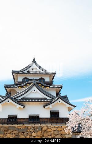 Hikone castle with spring cherry blossoms in Shiga, Japan Stock Photo