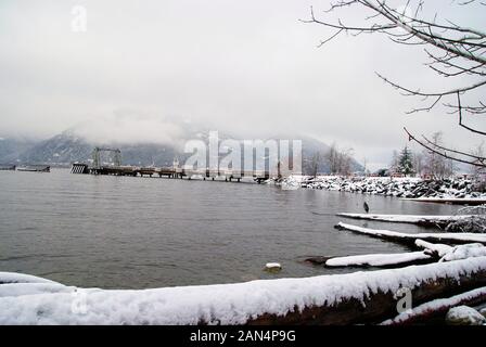 The pier at Porteau Cove Provincial Park in a white winter snowy landscape, and a blue heron on a log Stock Photo