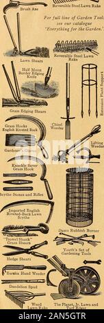 Henderson's midsummer catalogue : 1919 . Reversible Steel Lawn Rake For full line of Garden Tools see our catalogue^Everything for the Garden.^l. The Planet, Jr. Lawn and Turf Edgar BEST QUALITY HAND TOOLS {See illustrations in adjoining column) ^ BRUSH AXE. This is an excellent tool for trimming out under*brush, cutting down hedges, etc. Price, handled,. $2,35. DANDELION AND PLANTAIN SPUD. A handy tool forcutting dandelions, plantain and other weeds out of the lawn.Also useful when out botanizing. Price, 45c. {Add extrafor Parcel Post; weight, 1 lb. GARDENERS GLOVES. For protecting the hands, Stock Photo
