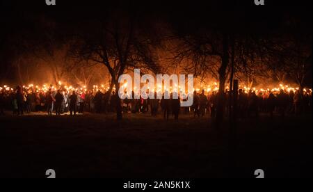 Much Marcle, Herefordshire, UK. 4th January 2020. Hundreds of people both young and old gathered at the Westons Cider Mill and adjoining orchard to ta Stock Photo