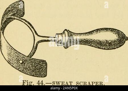 The family horse : its stabling, care and feedingA practical manual for horse-keepers . rspiration, the moisture is best removed by means of the scraper.There are various forms of these useful implements, one of which isshown in figure 44. Others are two-handed, each consisting ofa long strip of steel or brass with a handle at each end. The scraperis passed over the neck and all accessible parts of the body, with asteady gentle pressure, repeated as often as is necessary to remove allexcess of water and mud. If the weather is cold the clothing is puton, and the legs plunged, two at the time, i Stock Photo