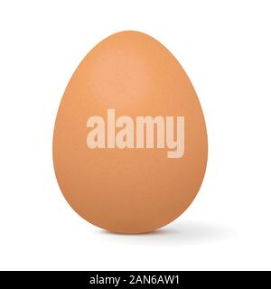 Chicken egg Stock Vector