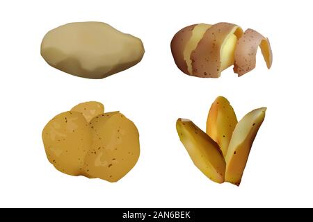 Peeled and baked Potato, snack set. Vector illustration. Vegetarian food. Stock Vector