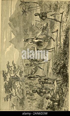 The African Sketch Book F The Creatures Skin Therider Rocks To And Fro Unless The Saddle Be Very Tightlygirthed It Is Also Placed Well Forward On The Shoulders So That When The Ox Backs You Feel As If You Were Goingto Slip Over His Head However The Bceuf