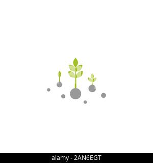 Three Green sprouts, sprigs, raw with leaves and seeds. Icon Isolated on white. Growth symbol. Ecology, agriculture, nature, healthy organic and farm Stock Vector