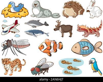 Large set of wildlife with many types of land and water animals  illustration Stock Vector Image & Art - Alamy