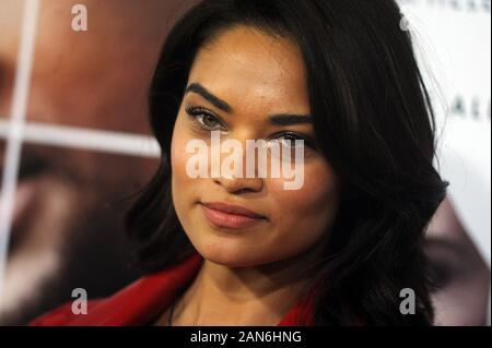 Manhattan, United States Of America. 31st Dec, 2008. NEW YORK, NY - DECEMBER 12: Shanina Shaik attends the 'Collateral Beauty' world premiere at Frederick P. Rose Hall, Jazz at Lincoln Center on December 12, 2016 in New York City. People: Shanina Shaik Credit: Storms Media Group/Alamy Live News Stock Photo