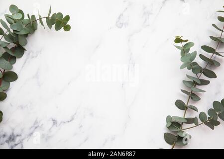 Border of eucalyptus leaves on a marble background. Lay flat Stock Photo