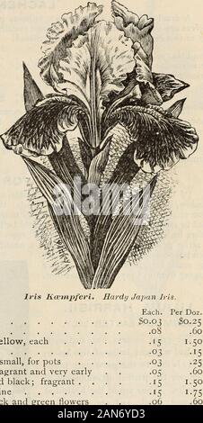 Autumn catalogue 1894 : bulbs . peaking, ^t^^^^K^KffM^mSI perfectly hardy, succeeding in any ordinary ^.^^^^^nuUm/M^mJm^^ rich soil, and, if not disturbed, increasirg in ^^^^^UMn£/fJjr; strength and beauty. Set the bulbs in clumps ^ ? of three or more, three inches deep, and cover *0^ with leaves or stable litter. yj^J Each. Per Doz. ^pf Anglica (English), PureWhite, very beautiful variety with large, silver- lvis ^wrnpferi. Hardy Japan h white flowers . - . $0.05 $0.40 Each. Anglica Mixed, in great variety $0.03 Germanica, Finest mixed, all colors .08 Germanica, separate colors, Blue, White o Stock Photo